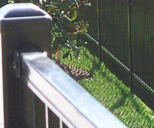 commercial-aluminum-railing-systems commercial-aluminum-railing-systems