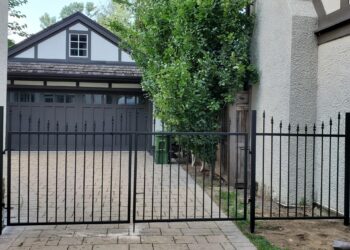 20210812_170028-min 20210812_170028-min