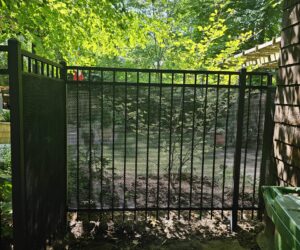 20230710_112454 20230710_112454